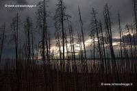 242 Yellowstone lake IMG 0071 (3)